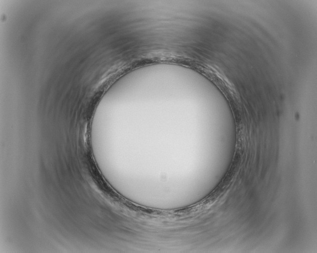 X0000086880024200704160951