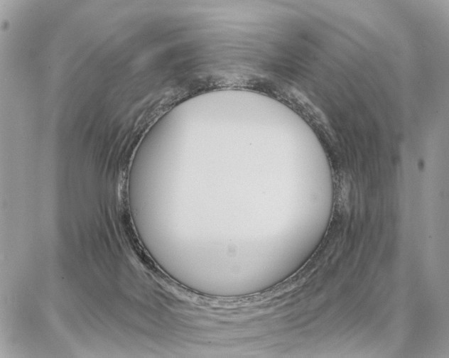 X0000086880026200704160951