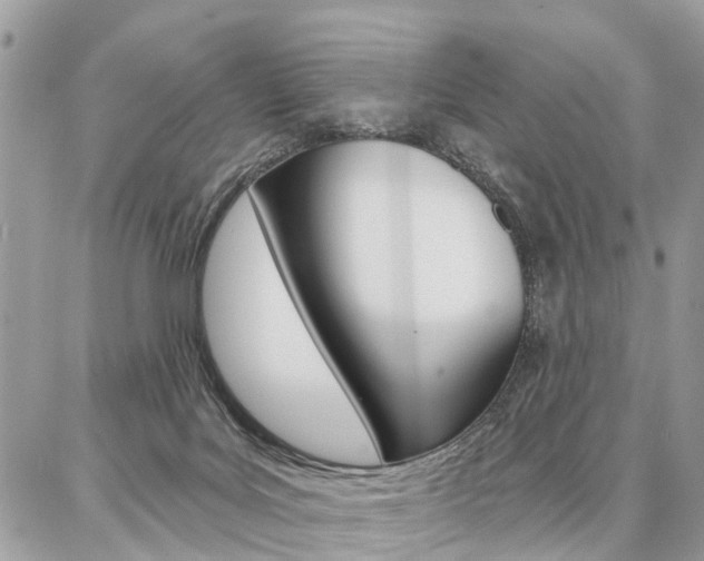 X0000086880027200704160951