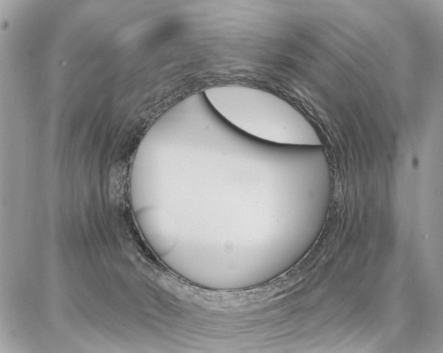 X0000086880030200704160951