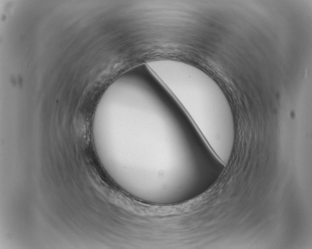 X0000086880031200704160951