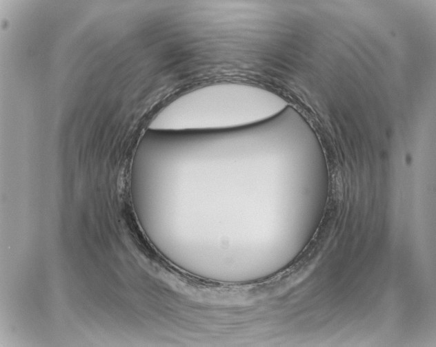 X0000086880032200704160951