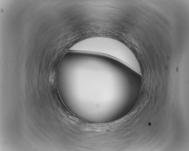 X0000086880033200704160951