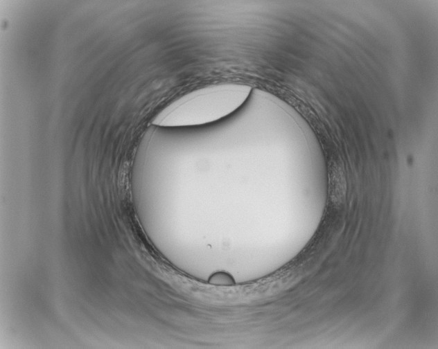 X0000086880034200704160951