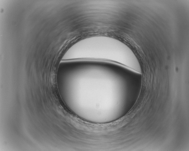 X0000086880035200704160951