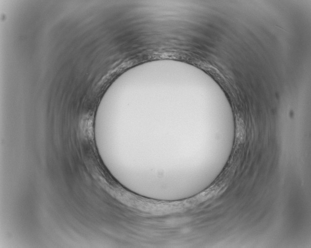 X0000086880036200704160951