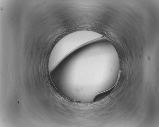 X0000086880037200704160951