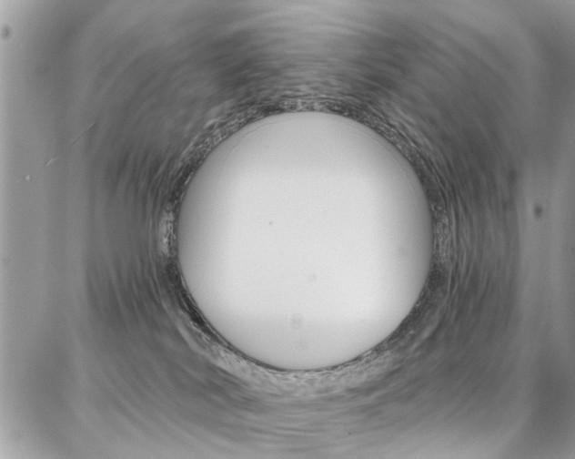 X0000086880038200704160951