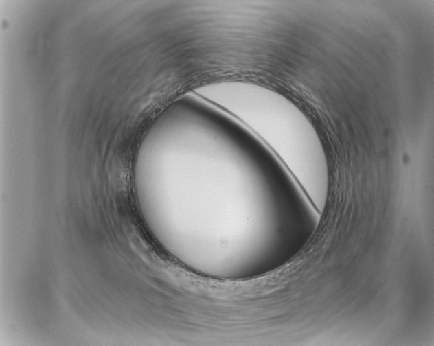 X0000086880039200704160951