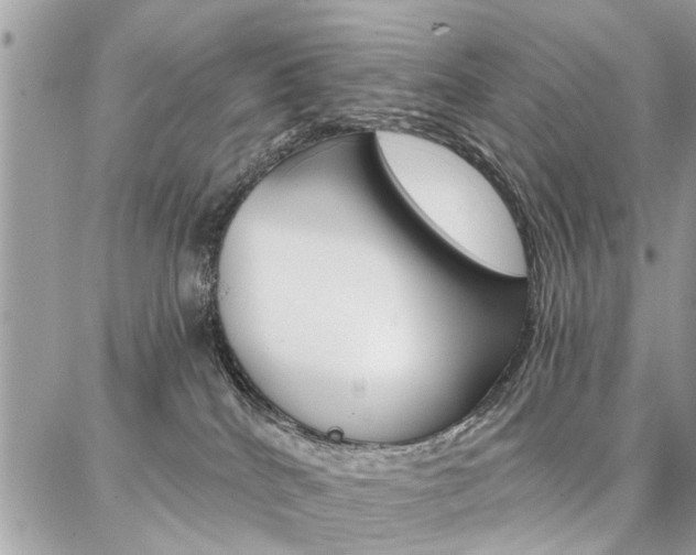 X0000086880040200704160951