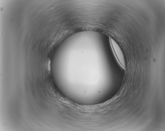 X0000086880041200704160951