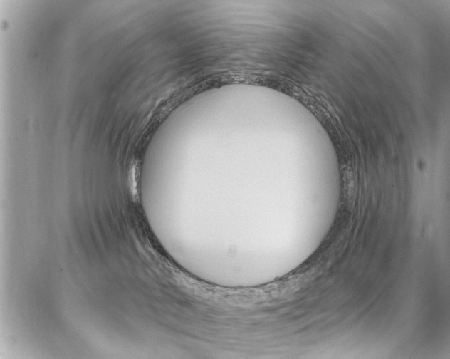 X0000086880042200704160951