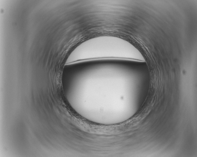 X0000086880044200704160951