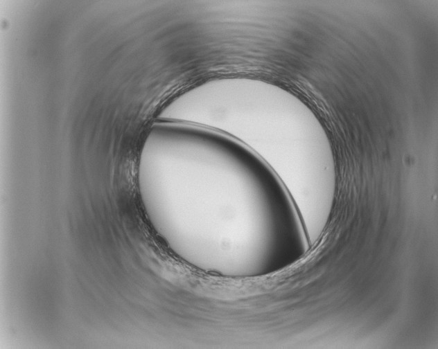 X0000086880045200704160951