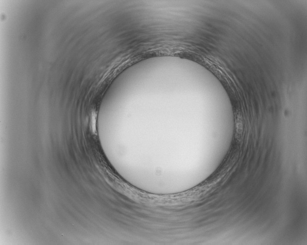 X0000086880046200704160951