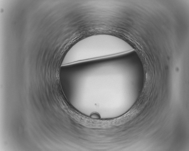 X0000086880048200704160951