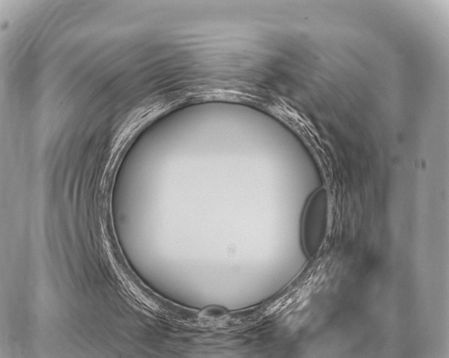 X0000086880049200704160950