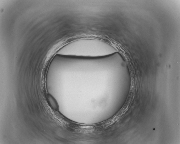 X0000086880053200704160950