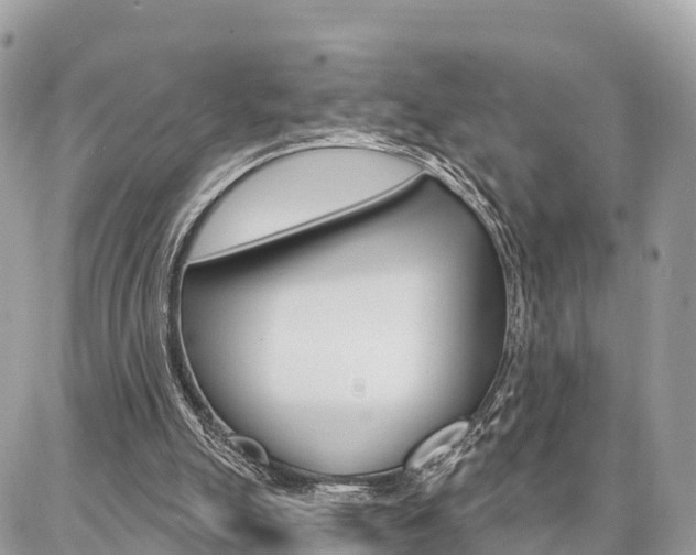 X0000086880055200704160950