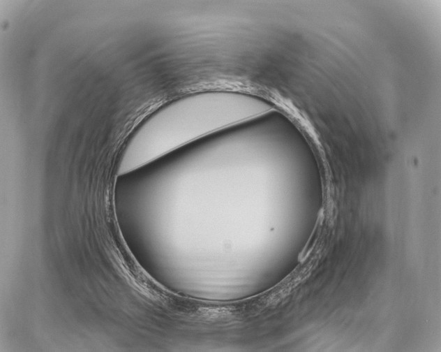 X0000086880057200704160950