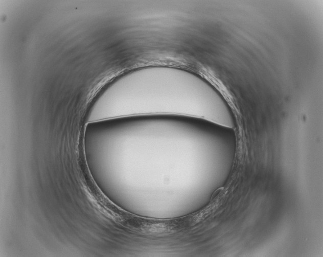 X0000086880058200704160950