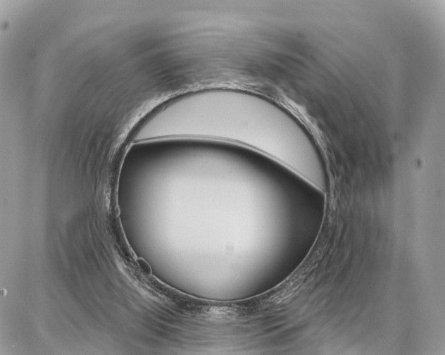 X0000086880060200704160950