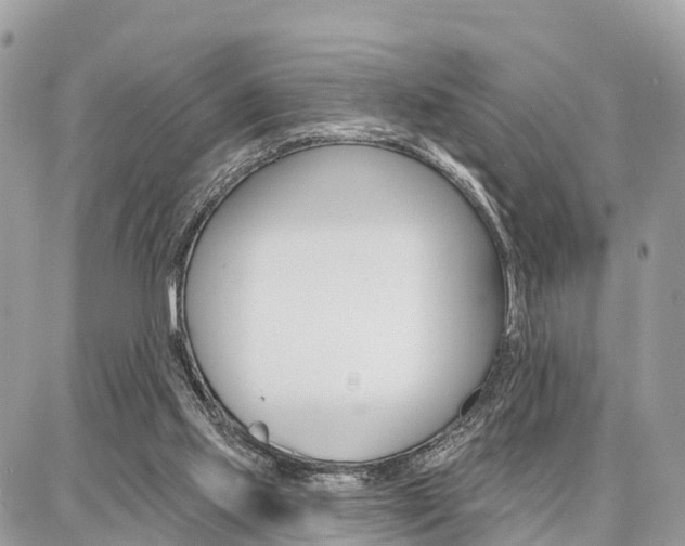 X0000086880061200704160950