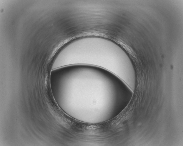 X0000086880064200704160950