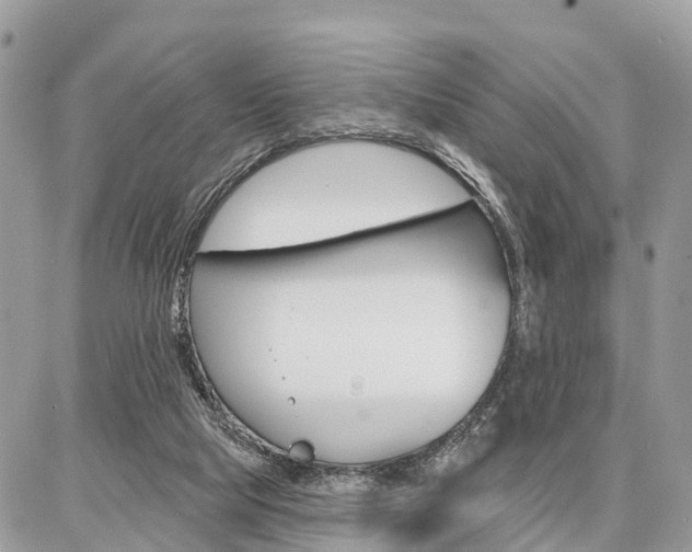 X0000086880065200704160950