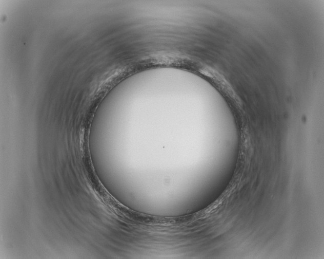 X0000086880066200704160950