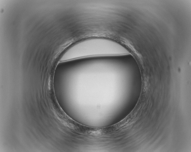 X0000086880068200704160950