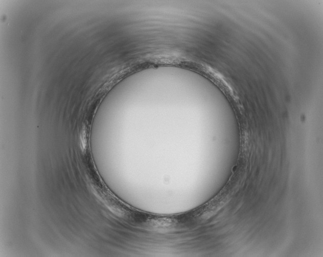 X0000086880069200704160950