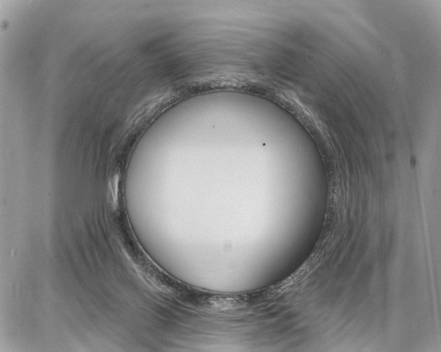 X0000086880070200704160950