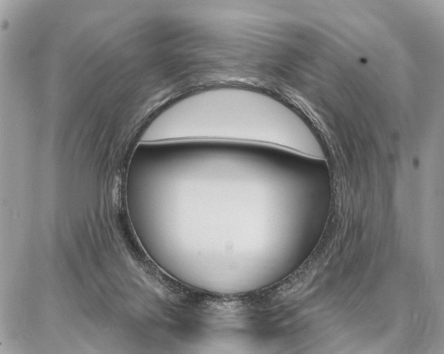 X0000086880071200704160951