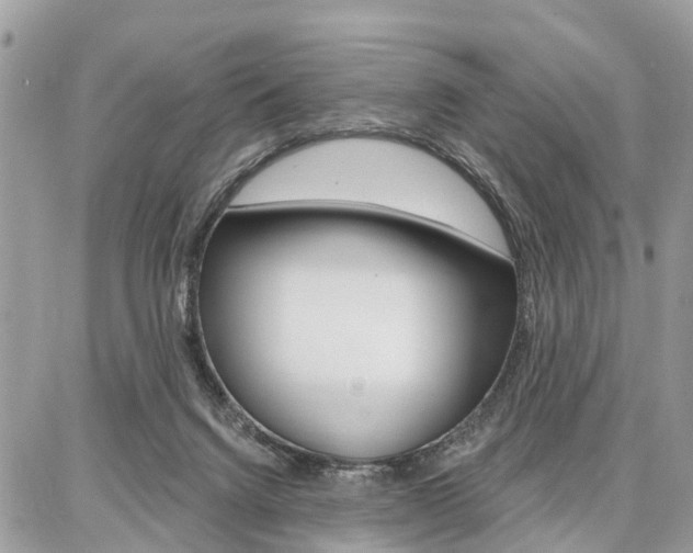 X0000086880072200704160951