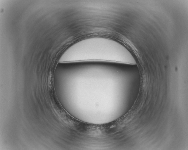 X0000086880073200704160951