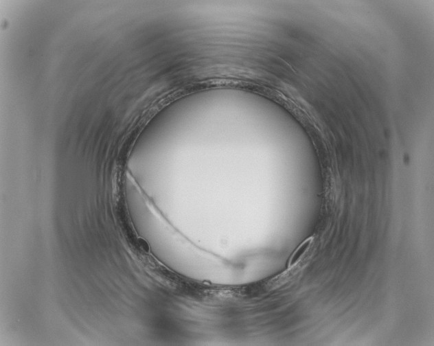 X0000086880074200704160951