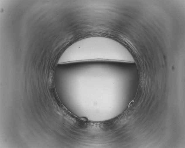 X0000086880077200704160951