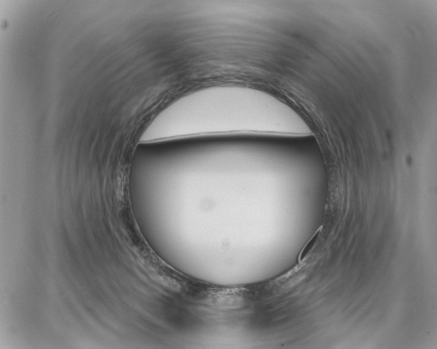 X0000086880078200704160951