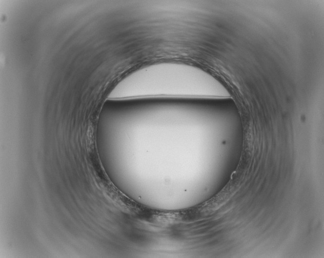 X0000086880079200704160951