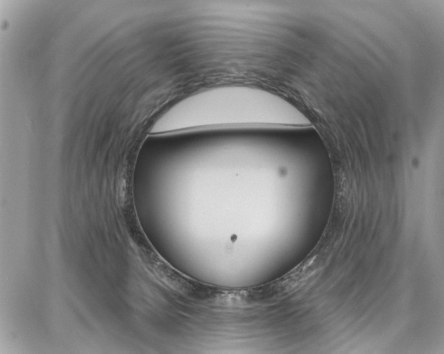 X0000086880080200704160951