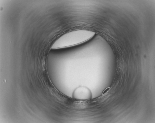 X0000086880082200704160951