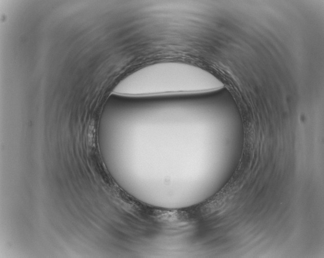 X0000086880083200704160951