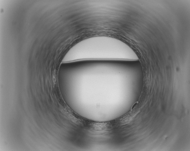 X0000086880085200704160951