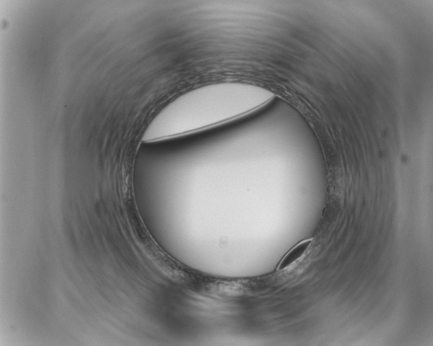 X0000086880086200704160951