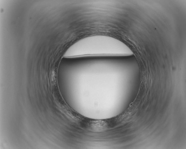 X0000086880087200704160951