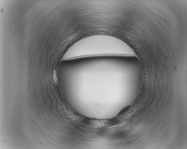 X0000086880089200704160951