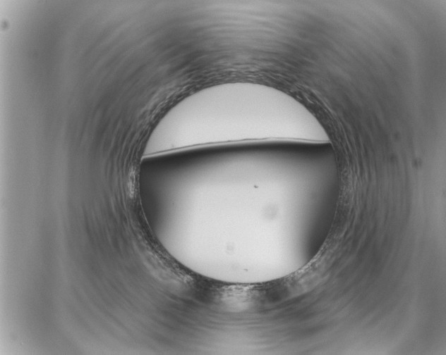 X0000086880090200704160951