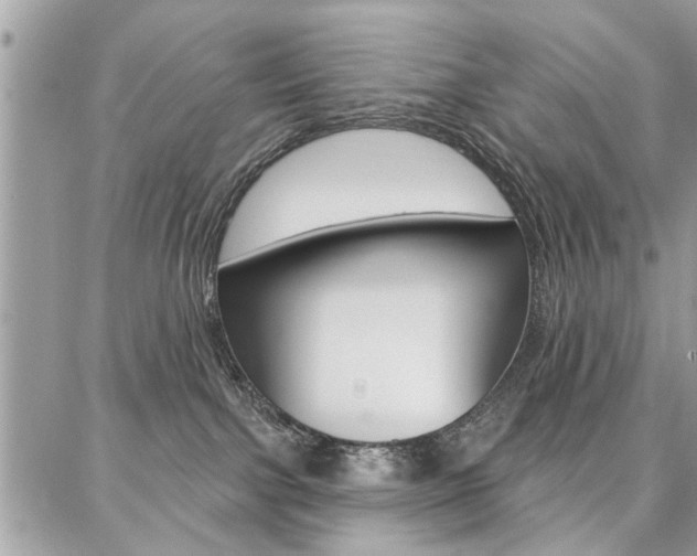 X0000086880091200704160951