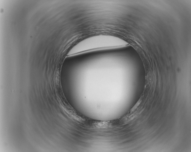 X0000086880092200704160951